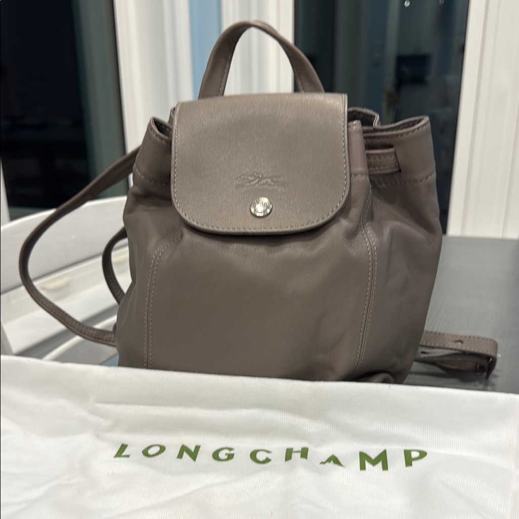 Longchamp Le Pliage Neo Small Leather Backpack In Grey With Dust Bag